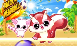 image bg Racoon Headball