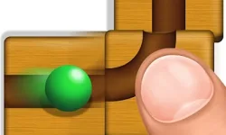 Unroll Puzzle image