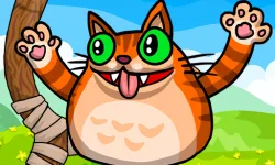 Angry Cat Shot image