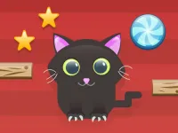 Cut For Cat image