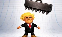 image bg Trump the Ragdoll