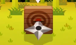 image bg Ninja Dart