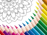 image bg Mandala Master