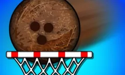 Super coconut Basket image