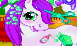 Horse Pet Salon image