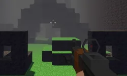 PGA4 image