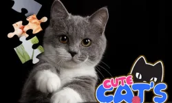 CUTE CATS JIGSAW PUZZLE image