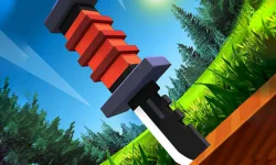 Knife Flipp image