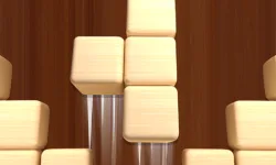 image bg Woodoku Block Puzzle
