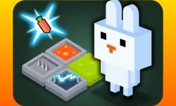 FUNNY BUNNY LOGIC image