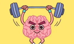 Perfect Brain 3D Puzzle image