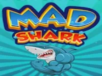 image bg Requin