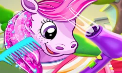 pet pony salon image