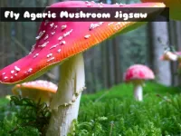 Fly Agaric Mushroom image