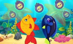 image bg Marine Fish