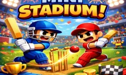 MINI STADIUM image