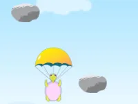 image bg Animals Fall