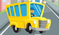 image bg Bus Differences