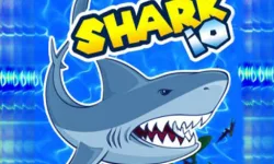 image bg Shark Io3