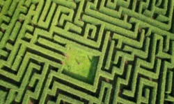 The Mazes of Infinity image