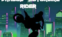 Shadow Motorbike Rider image