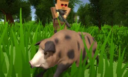 Pixel Hunting.IO image