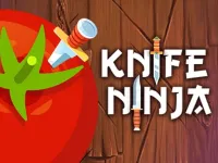 Knife Shadow Ninja image