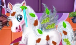 image bg Magic Pet Salon