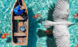 Hooked image