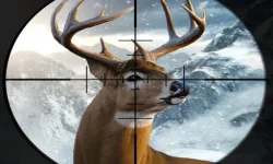 image bg Hunter 3d