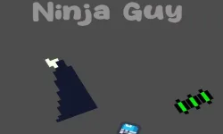 Ninja Guy image