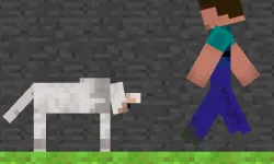 Steve and Wolf image