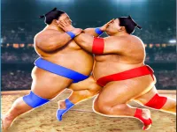 Sumo image