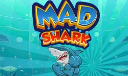 Mad Shark Fish image
