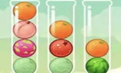 Fruit Sort image