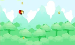 Acorn Flight image
