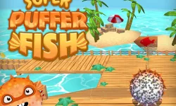 PufferBall image