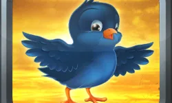 Bird Fly image