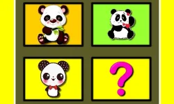 Baby Panda Memory image