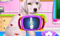 image bg Labrador Puppy Daycare Salon