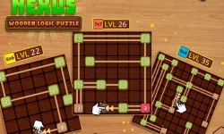 image bg NEXUS : wooden logic puzzle