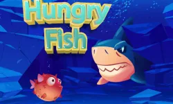 Hungry Fish image