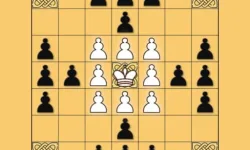 Tafl: viking chess image