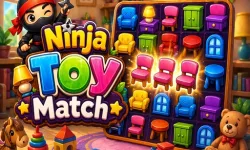 Ninja Toy Match image