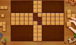 Wood Block Brain Puzzle image