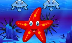 Survival Starfish image