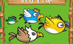 image bg Bird Trap
