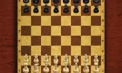 Chess Master King image