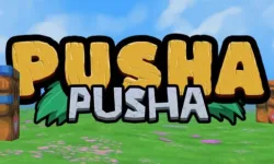 Pusha Pusha image