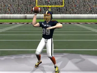 Quarterback image